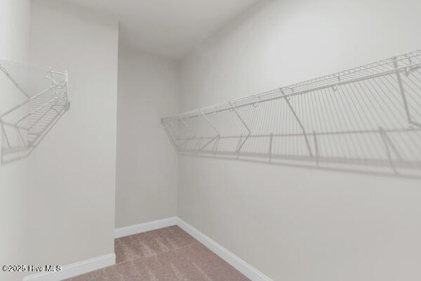 6202 Raystone Way Leland, NC 28451 - Photo 23 of 37 6202 Rayston Way Primary closet