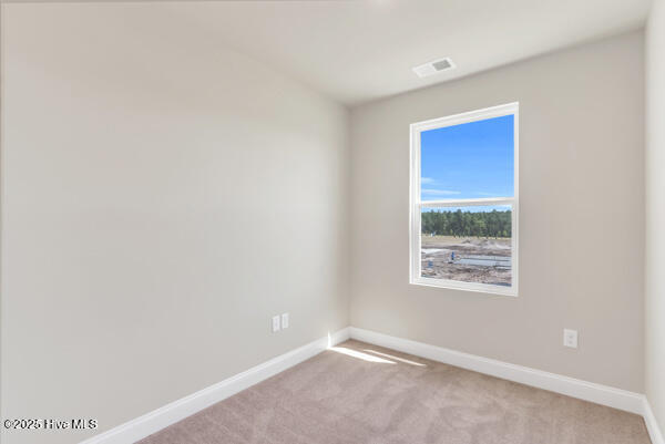 6202 Raystone Way Leland, NC 28451 - Photo 25 of 37 6202 Rayston Way extra