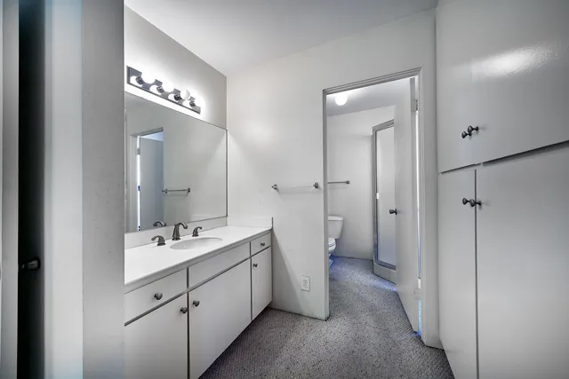 a bathroom with a shower and a toilet