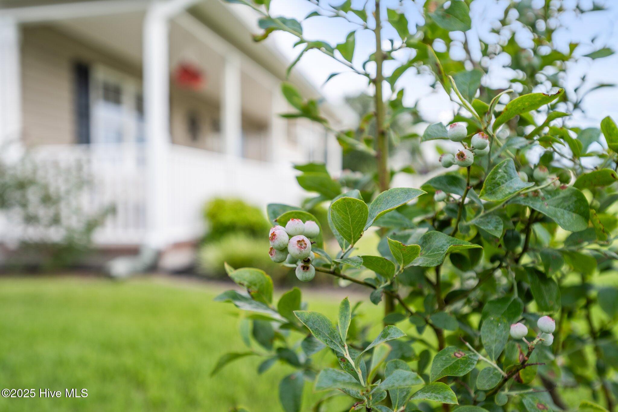 116 Linden Road Richlands, NC 28574 - Photo 54 of 59 55-web-or-mls-25