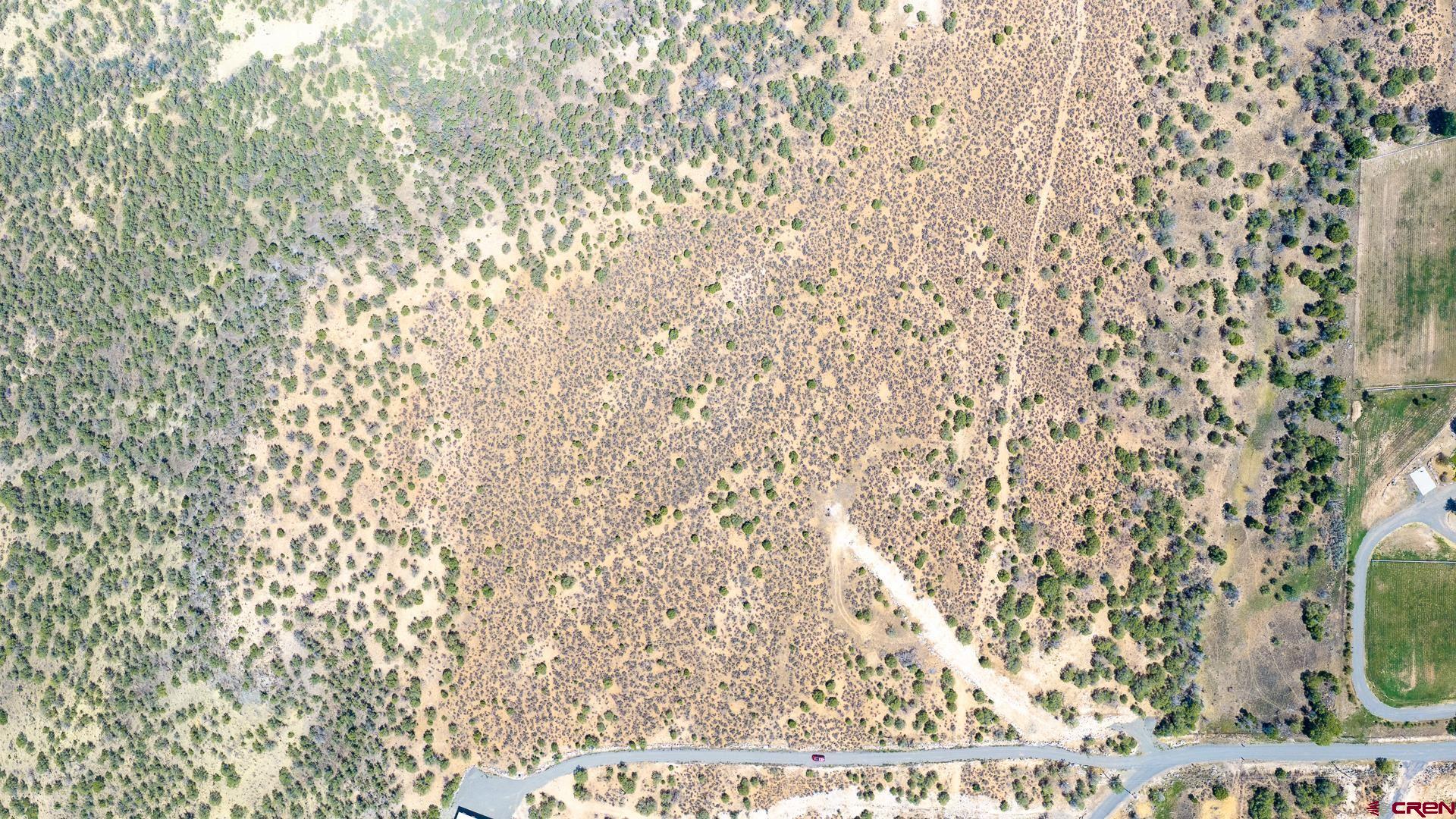 15369 2525 Road Cedaredge, CO 81413 - Photo 18 of 18 Gallery Image 18
