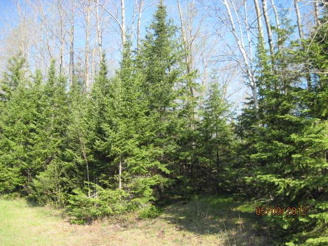 73556 Morse Road Glidden, WI 54527 - Photo 5 of 15 Gallery Image 5