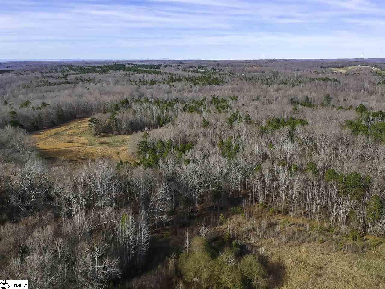 1980 Rabun Church Road Gray Court, SC 29645 - Photo 6 of 36