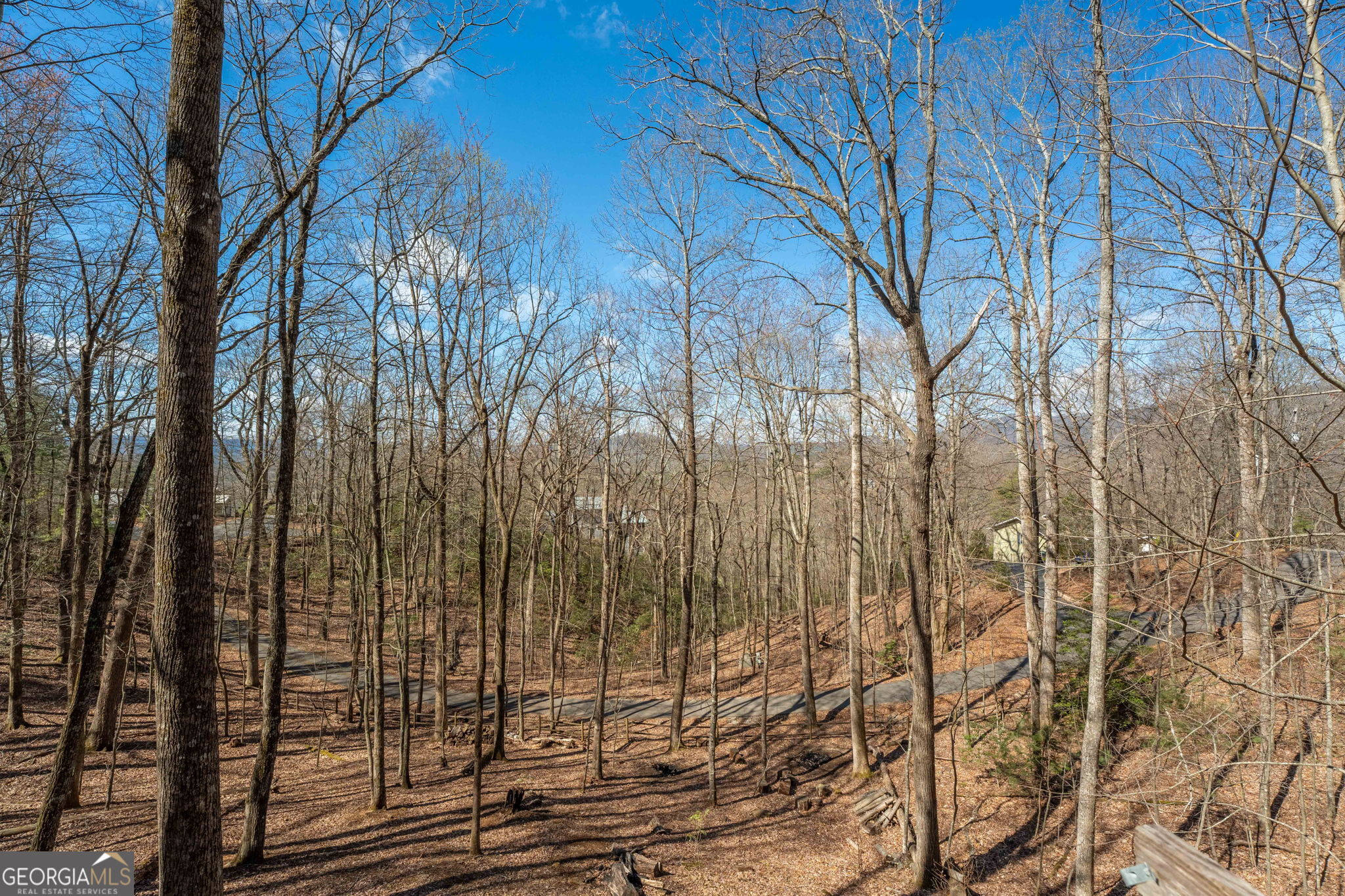 44 Juniper Trail Clayton, GA 30525 - Photo 33 of 87