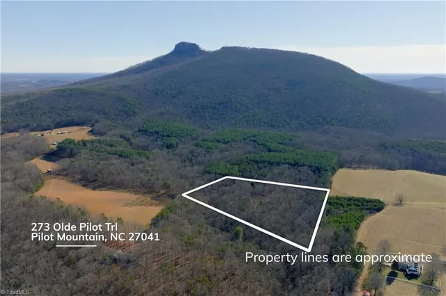 $549,900 | 273 Olde Pilot Trail, Pilot Mountain, NC 27041