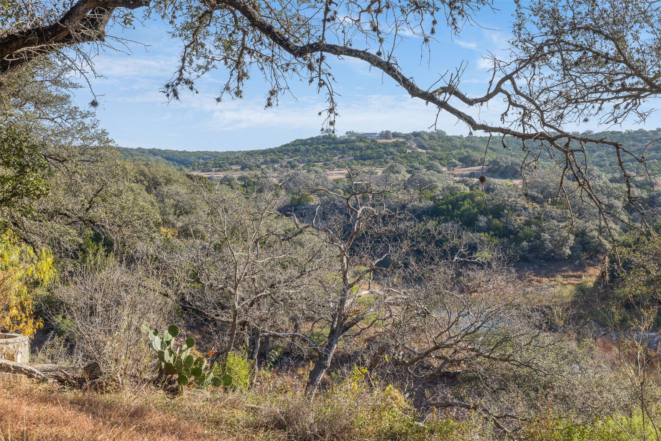 27701 Turner Ranch Road Marble Falls, TX 78654 - Photo 28 of 40 View of mountain background featuring a heavily wooded area