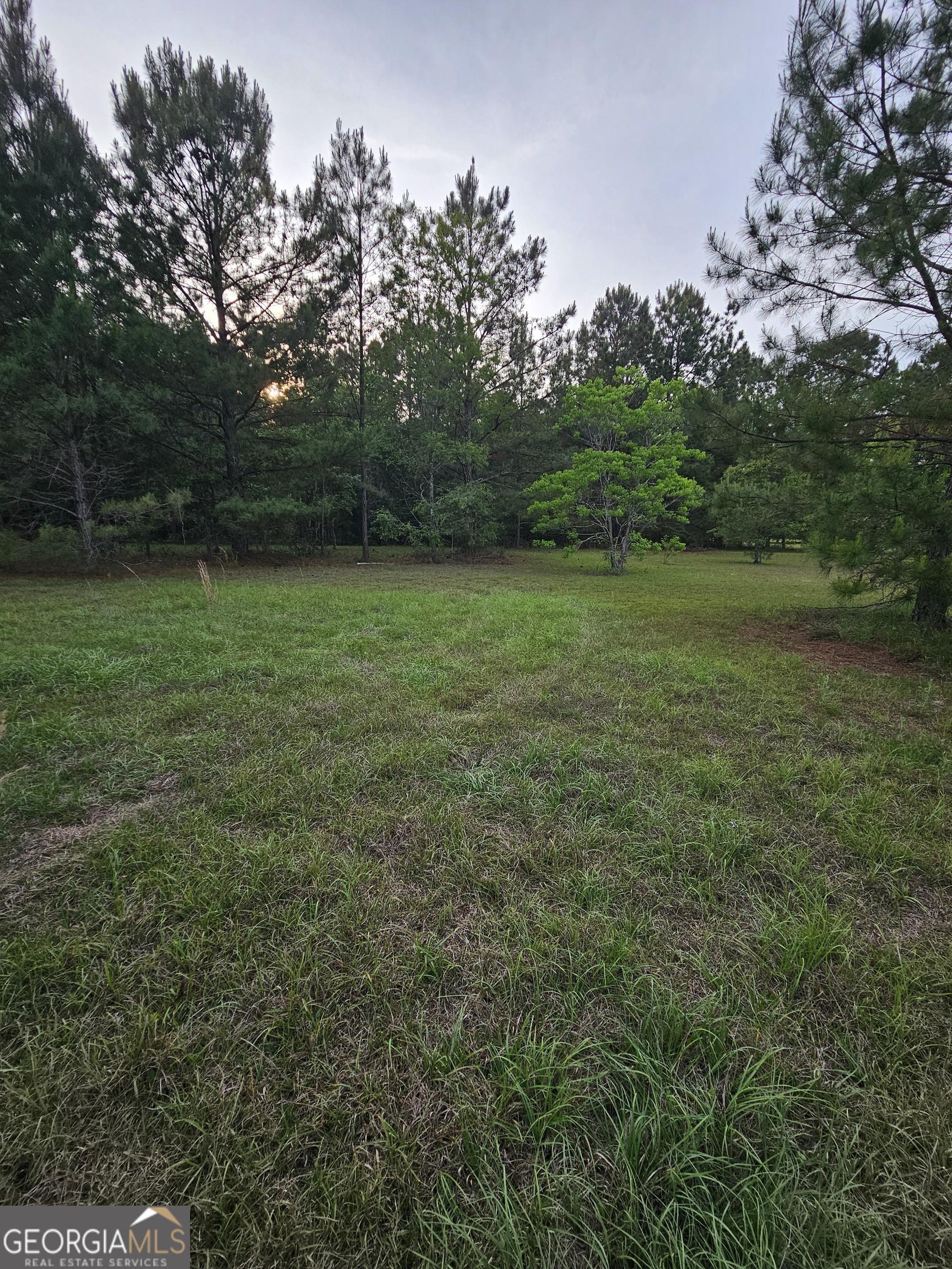 3780 Maria Sorrell Road Statesboro, GA 30461 - Photo 1 of 9