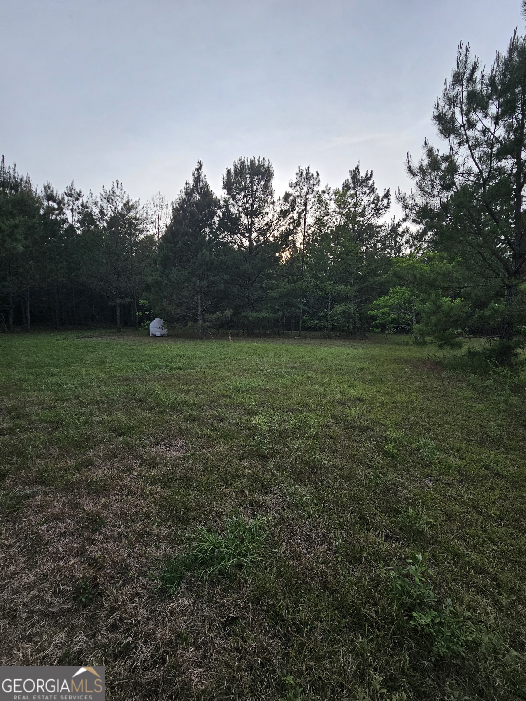 3780 Maria Sorrell Road Statesboro, GA 30461 - Photo 3 of 9