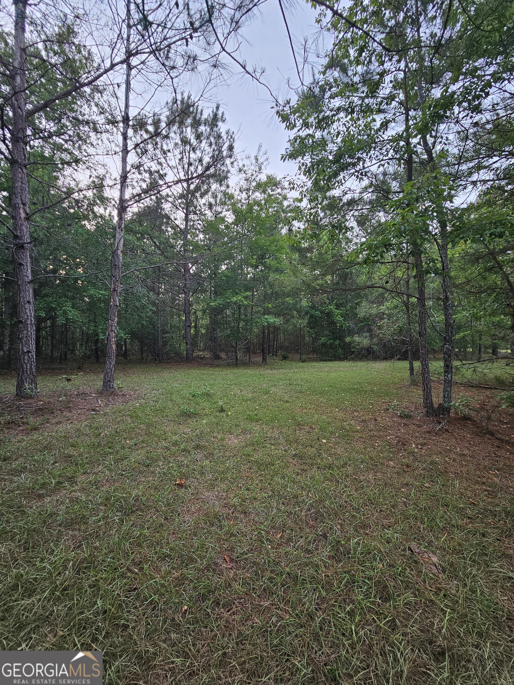 3780 Maria Sorrell Road Statesboro, GA 30461 - Photo 4 of 9
