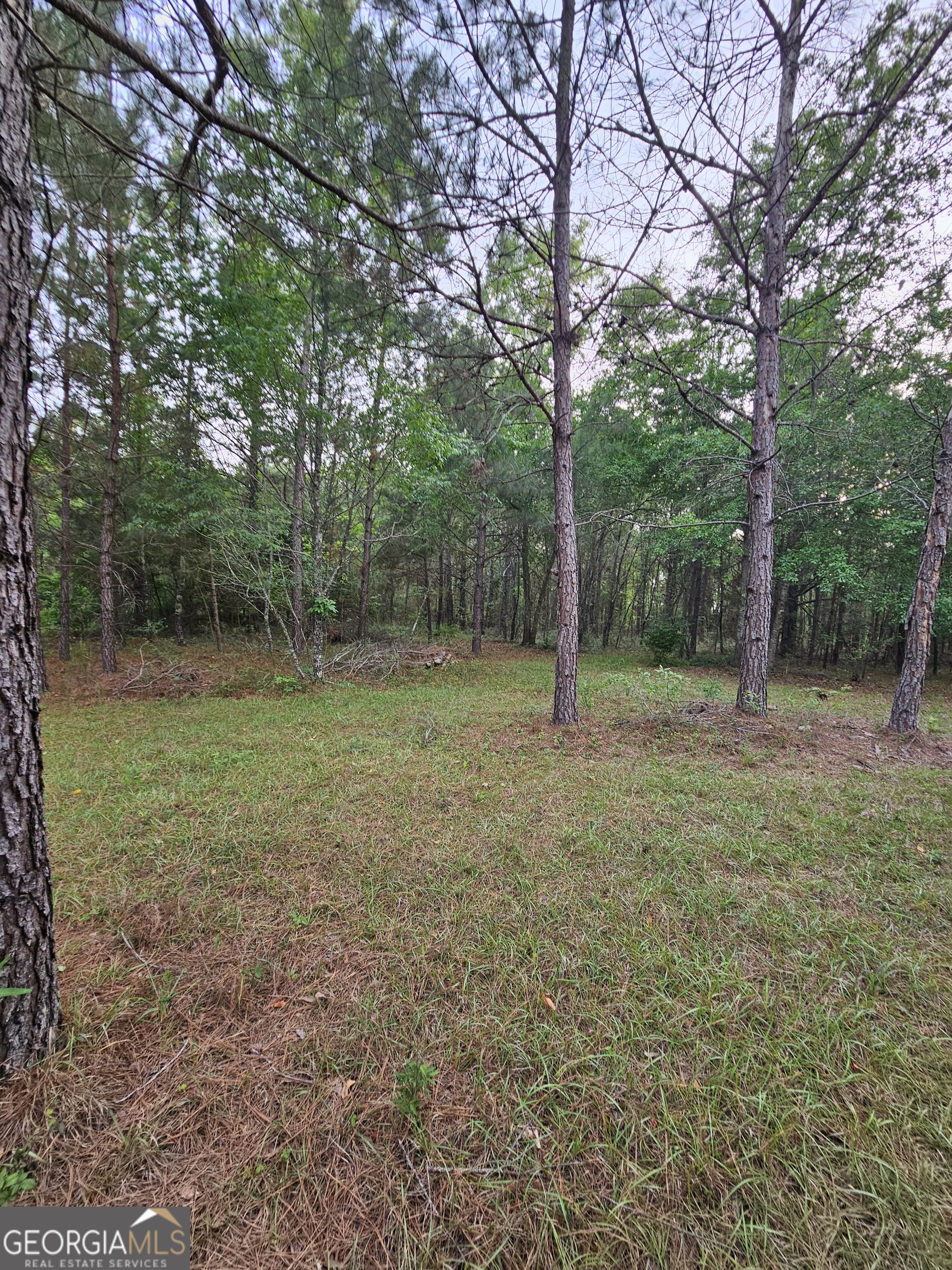 3780 Maria Sorrell Road Statesboro, GA 30461 - Photo 5 of 9