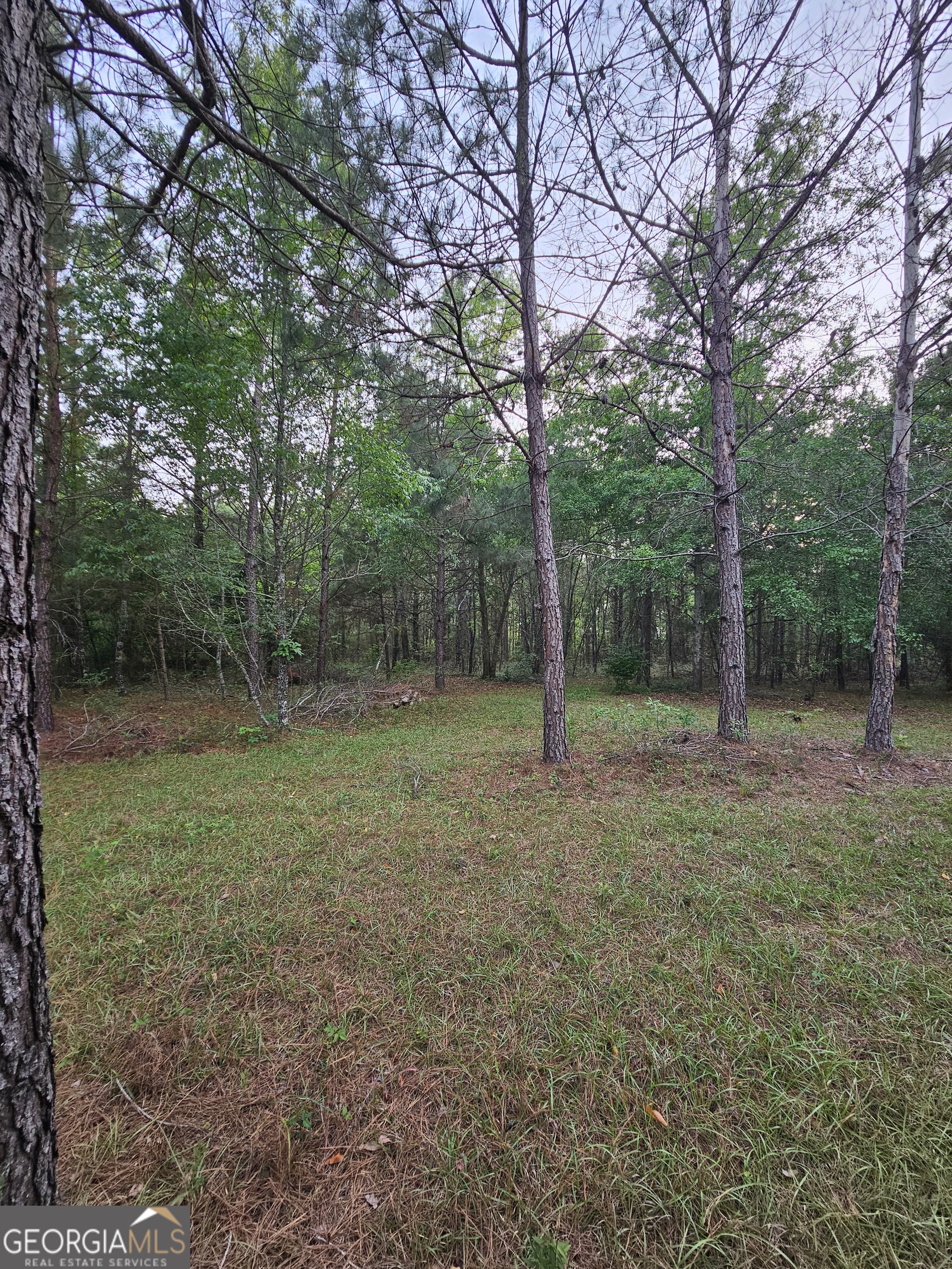 3780 Maria Sorrell Road Statesboro, GA 30461 - Photo 6 of 9