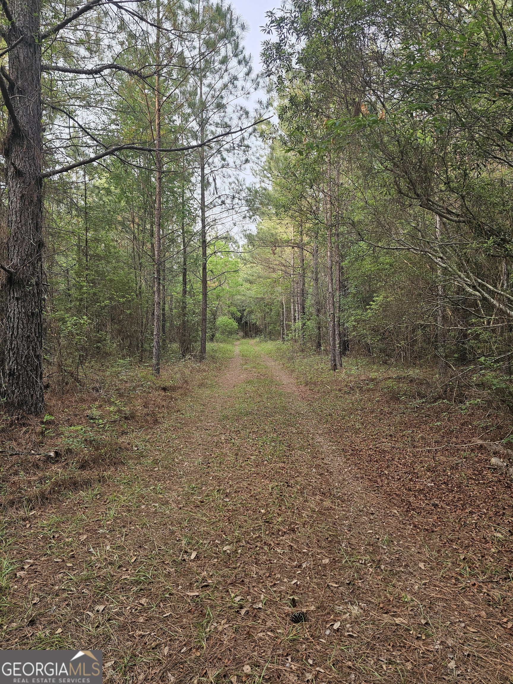 3780 Maria Sorrell Road Statesboro, GA 30461 - Photo 8 of 9