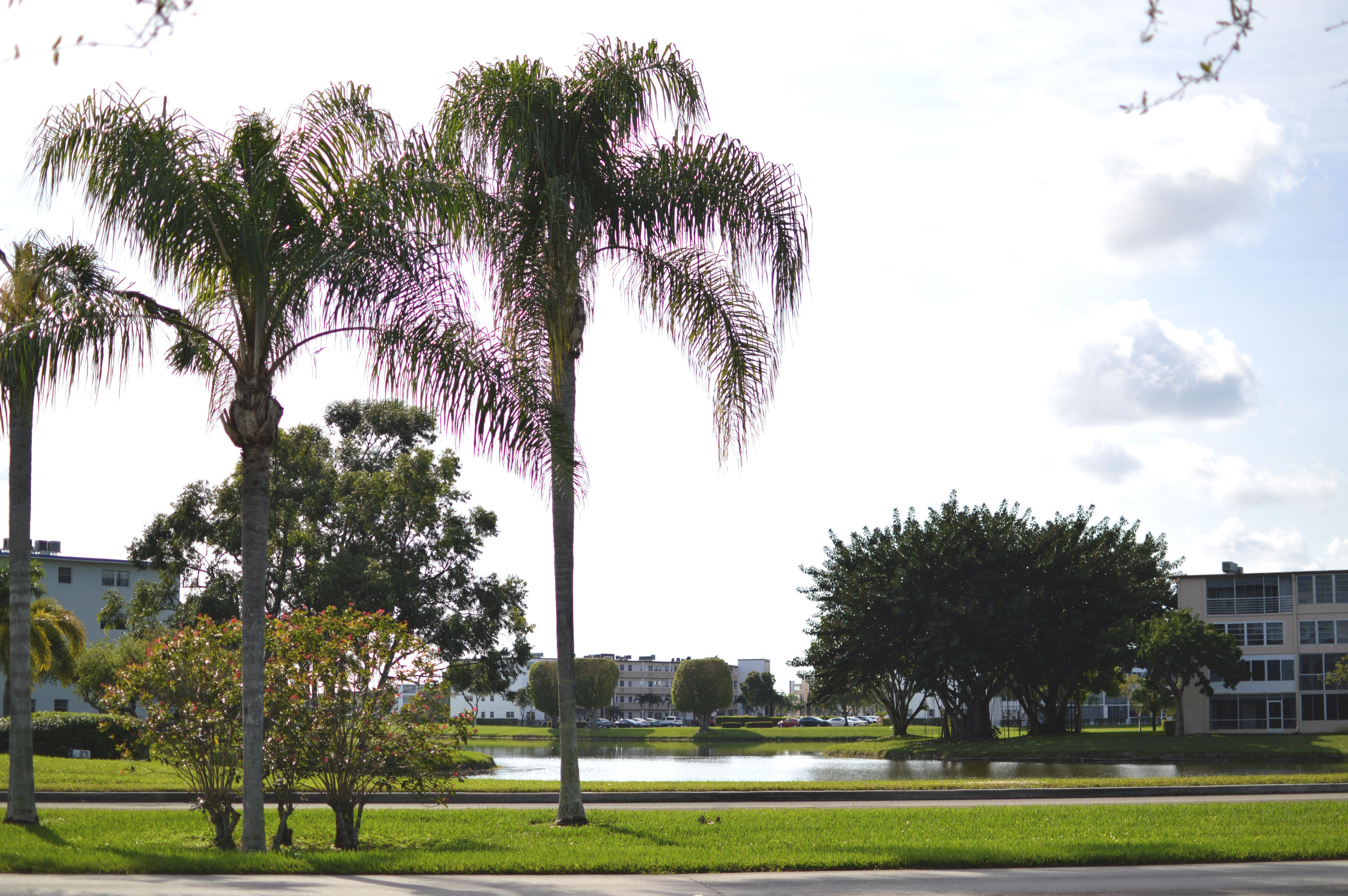 5 Mansfield B Boca Raton, FL 33434 - Photo 14 of 17 14
