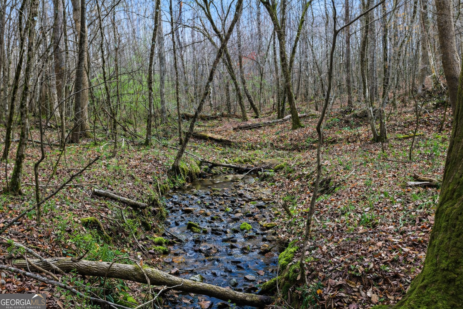 2345 Stonepile Road, Unit LOT 1 Clarkesville, GA 30523 - Photo 12 of 27