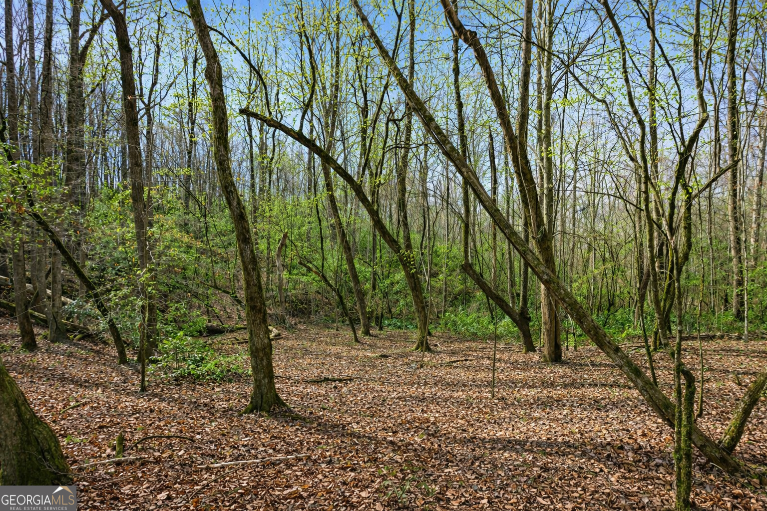 2345 Stonepile Road, Unit LOT 1 Clarkesville, GA 30523 - Photo 14 of 27