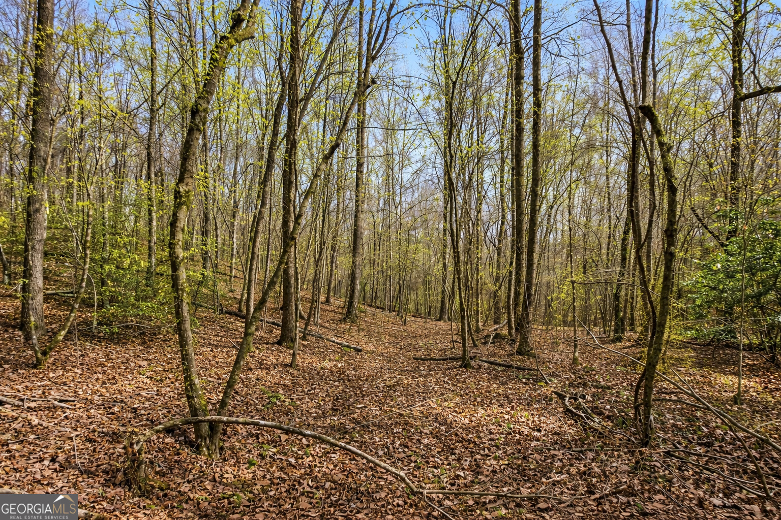 2345 Stonepile Road, Unit LOT 1 Clarkesville, GA 30523 - Photo 15 of 27