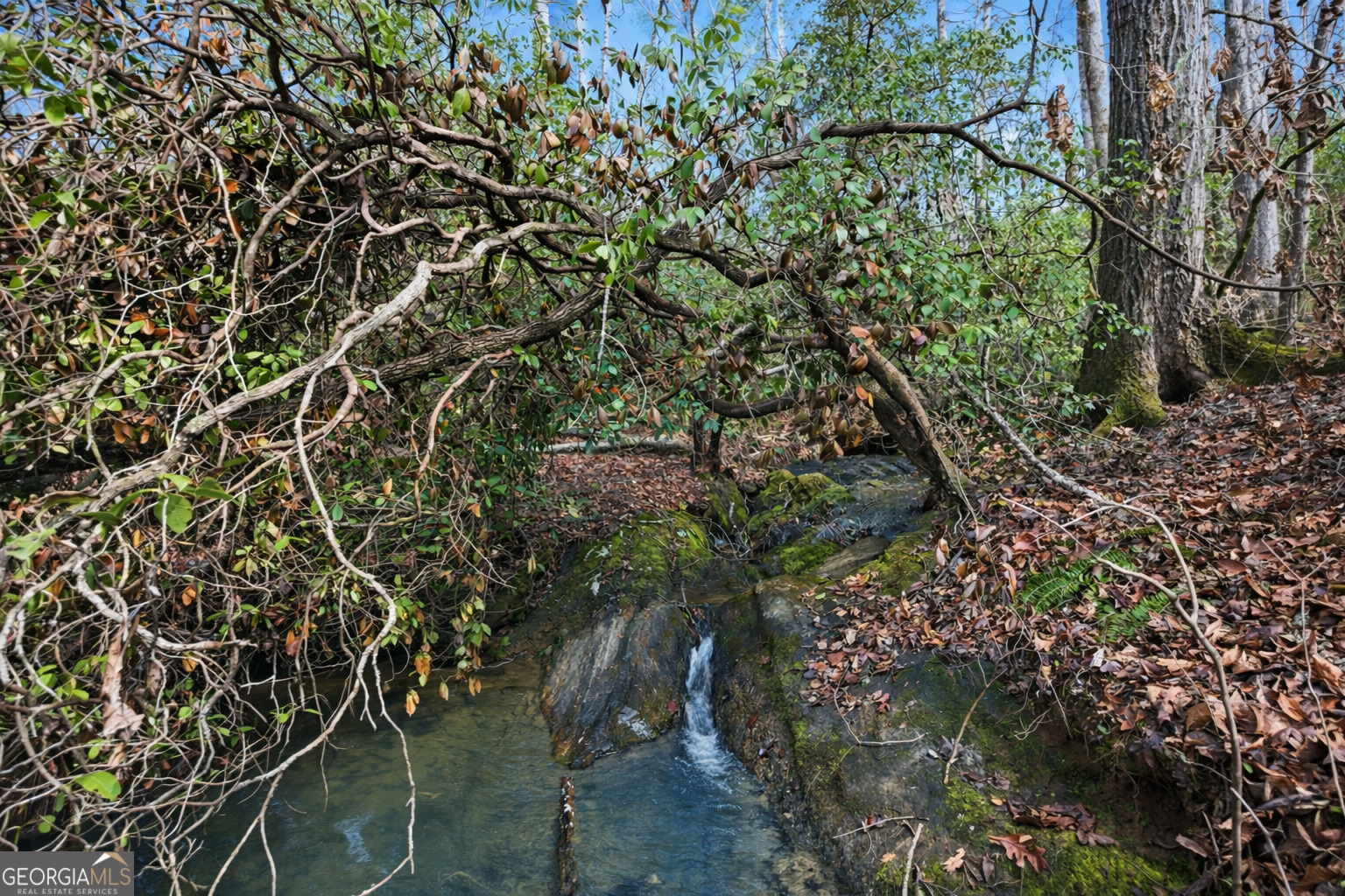 2345 Stonepile Road, Unit LOT 1 Clarkesville, GA 30523 - Photo 18 of 27