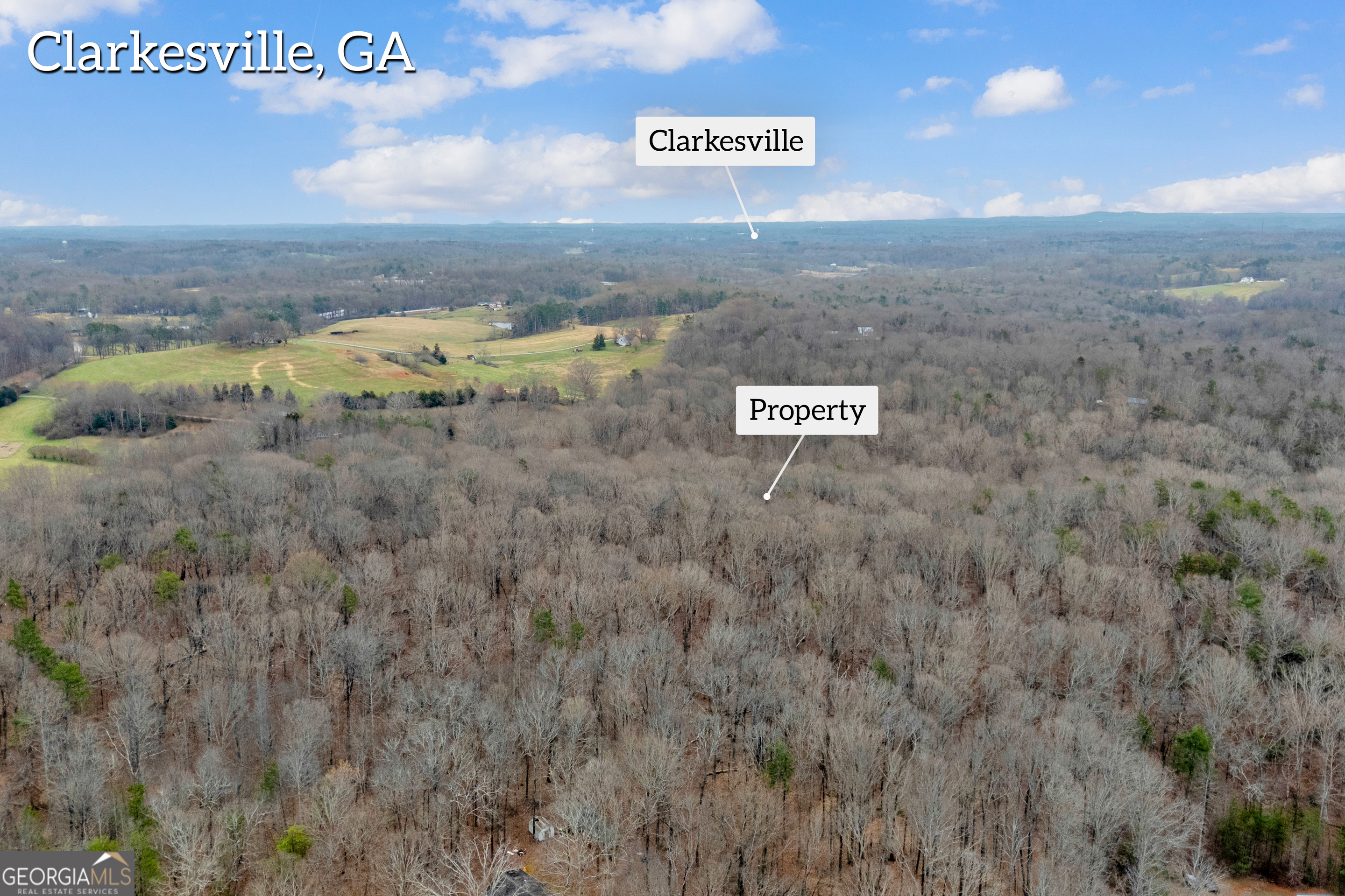 2345 Stonepile Road, Unit LOT 1 Clarkesville, GA 30523 - Photo 25 of 27