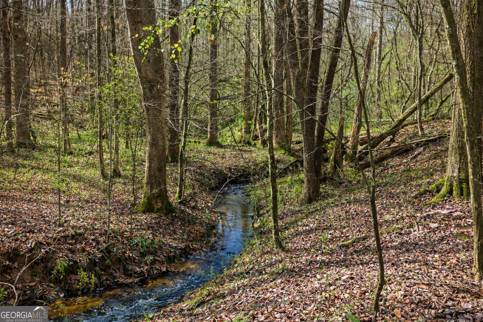 2345 Stonepile Road, Unit LOT 1 Clarkesville, GA 30523 - Photo 3 of 27