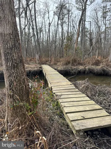 $84,900 | 0 Calloway Wharf Road, Rhodesdale, MD 21659