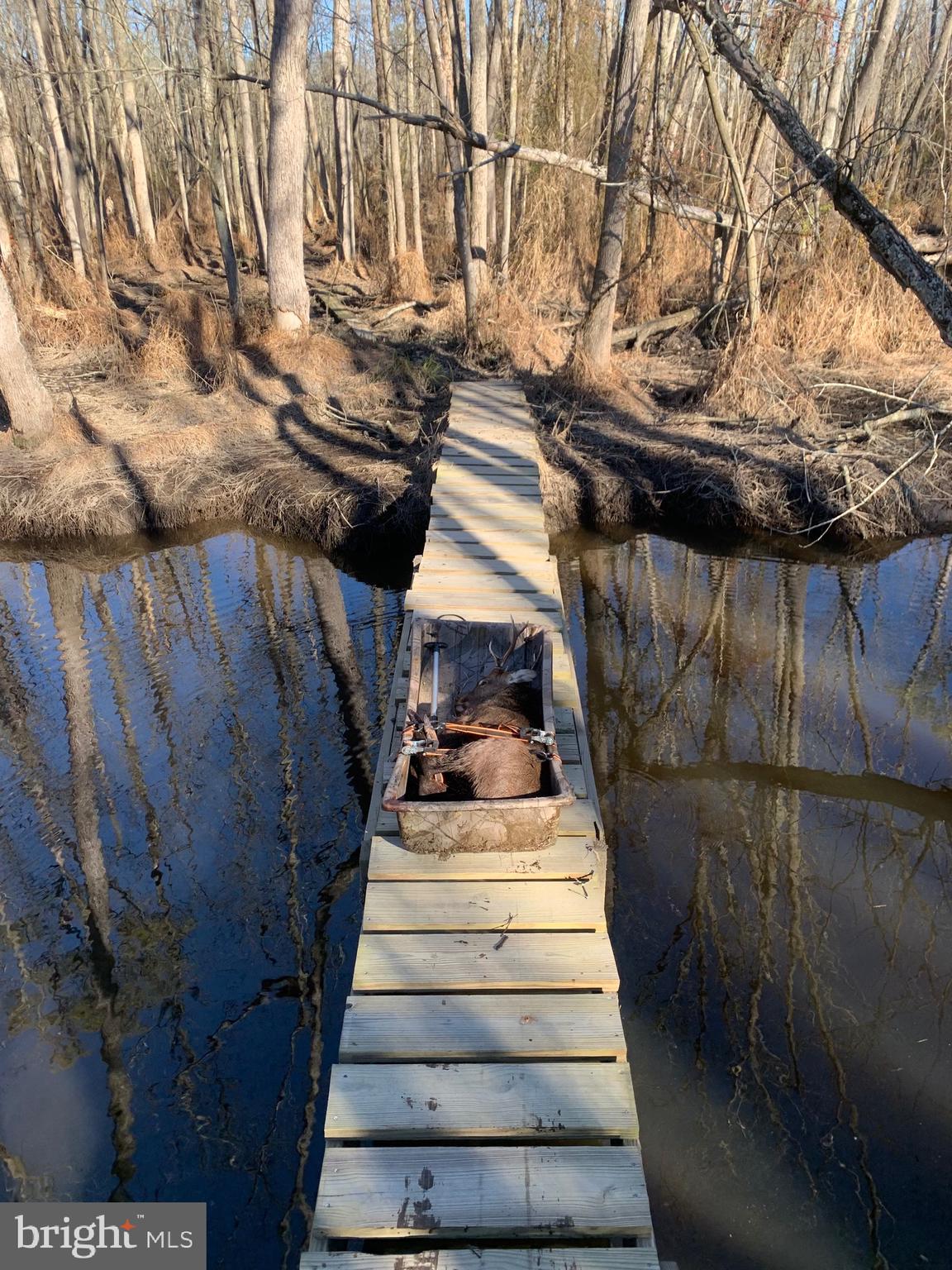 0 Calloway Wharf Road Rhodesdale, MD 21659 - Photo 15 of 29 a view of entryway
