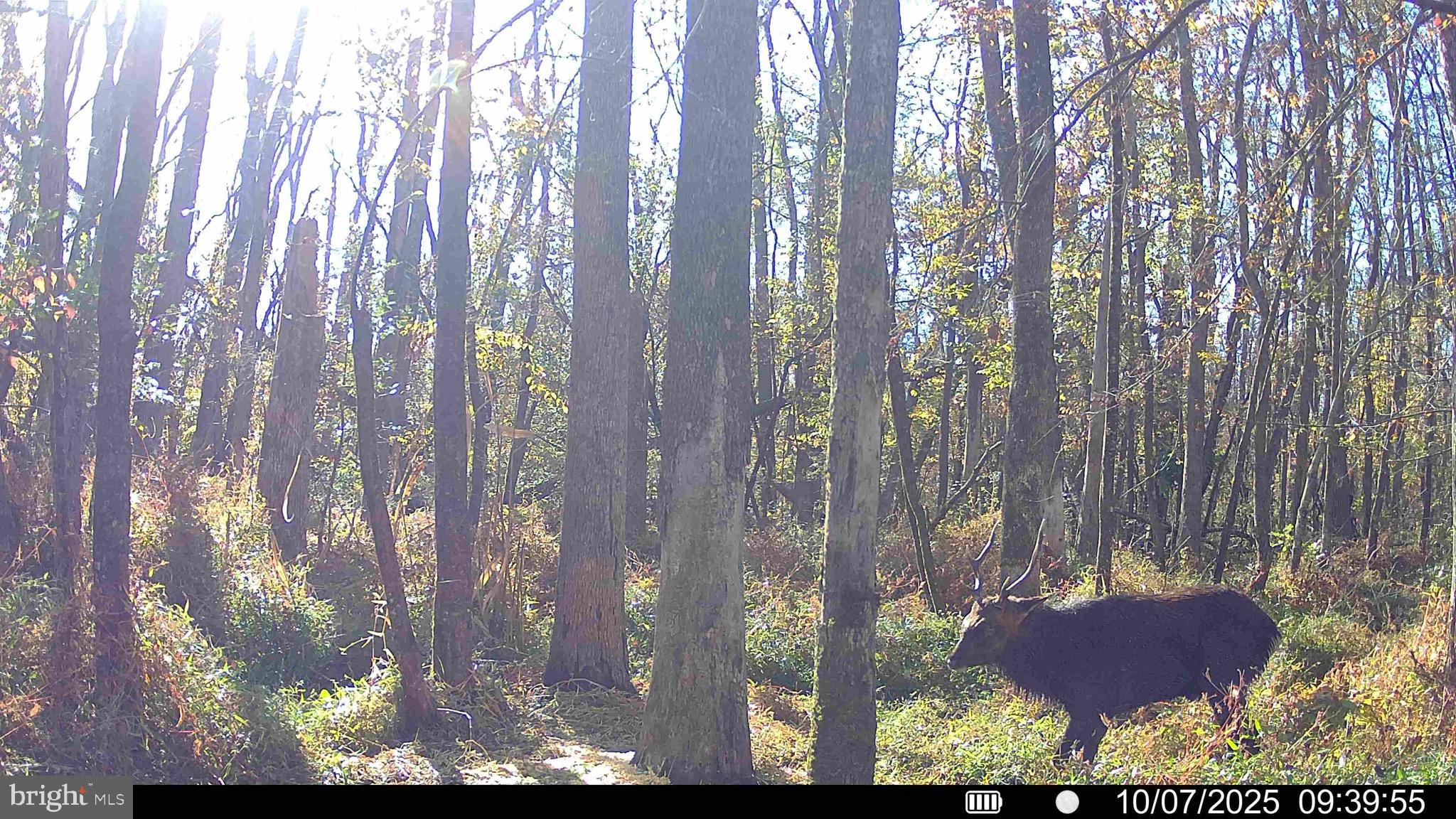 0 Calloway Wharf Road Rhodesdale, MD 21659 - Photo 18 of 29 a view of a outdoor space