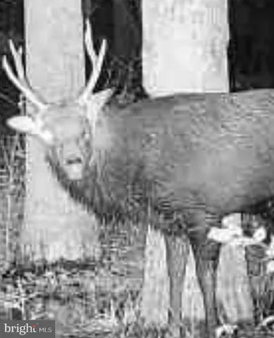 $84,900 | 0 Calloway Wharf Road, Rhodesdale, MD 21659