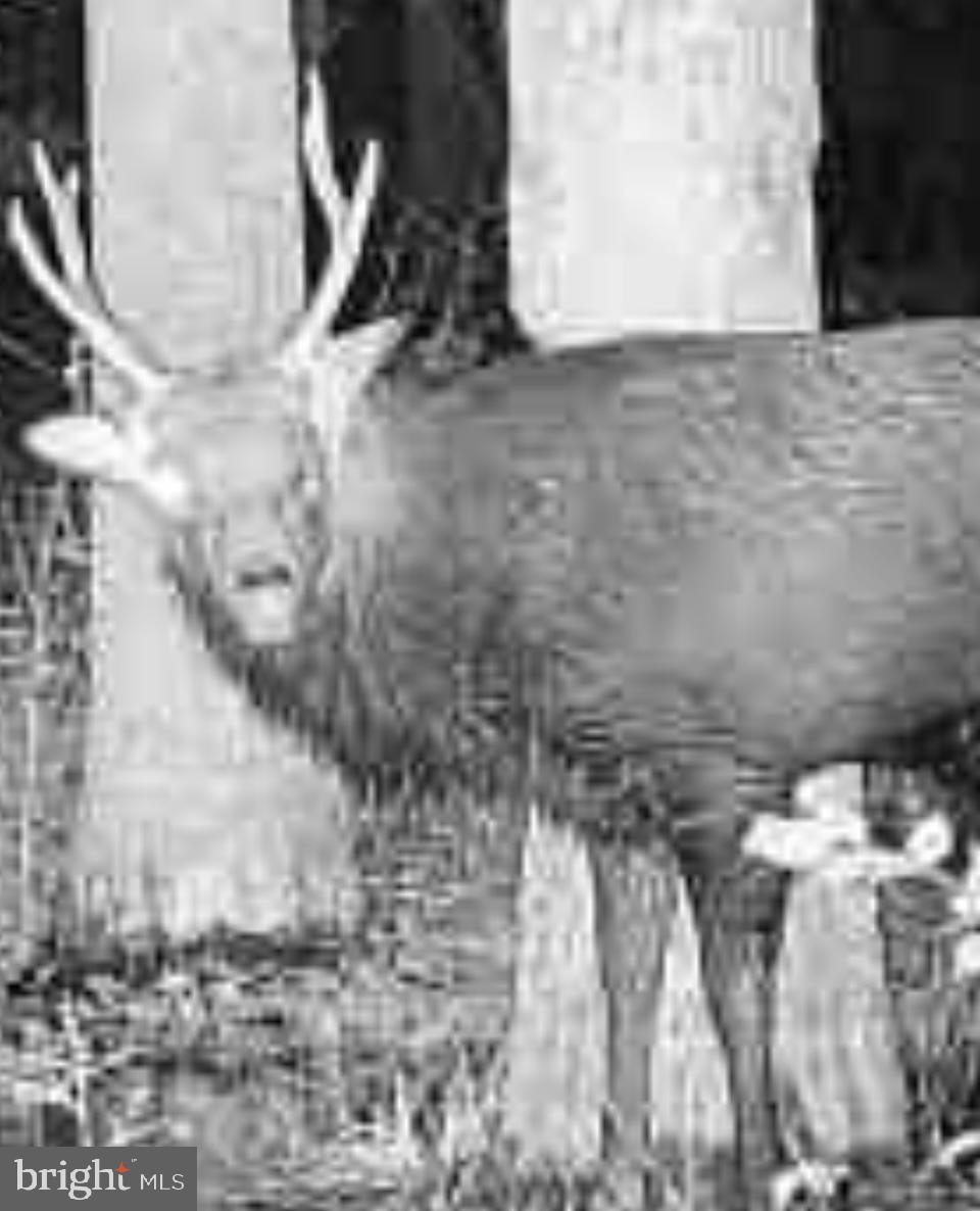 0 Calloway Wharf Road Rhodesdale, MD 21659 - Photo 20 of 29