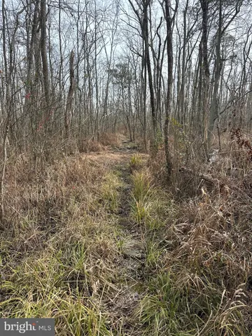 $84,900 | 0 Calloway Wharf Road, Rhodesdale, MD 21659