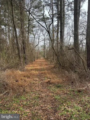 $84,900 | 0 Calloway Wharf Road, Rhodesdale, MD 21659