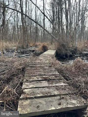 $84,900 | 0 Calloway Wharf Road, Rhodesdale, MD 21659