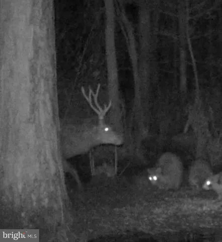 $84,900 | 0 Calloway Wharf Road, Rhodesdale, MD 21659