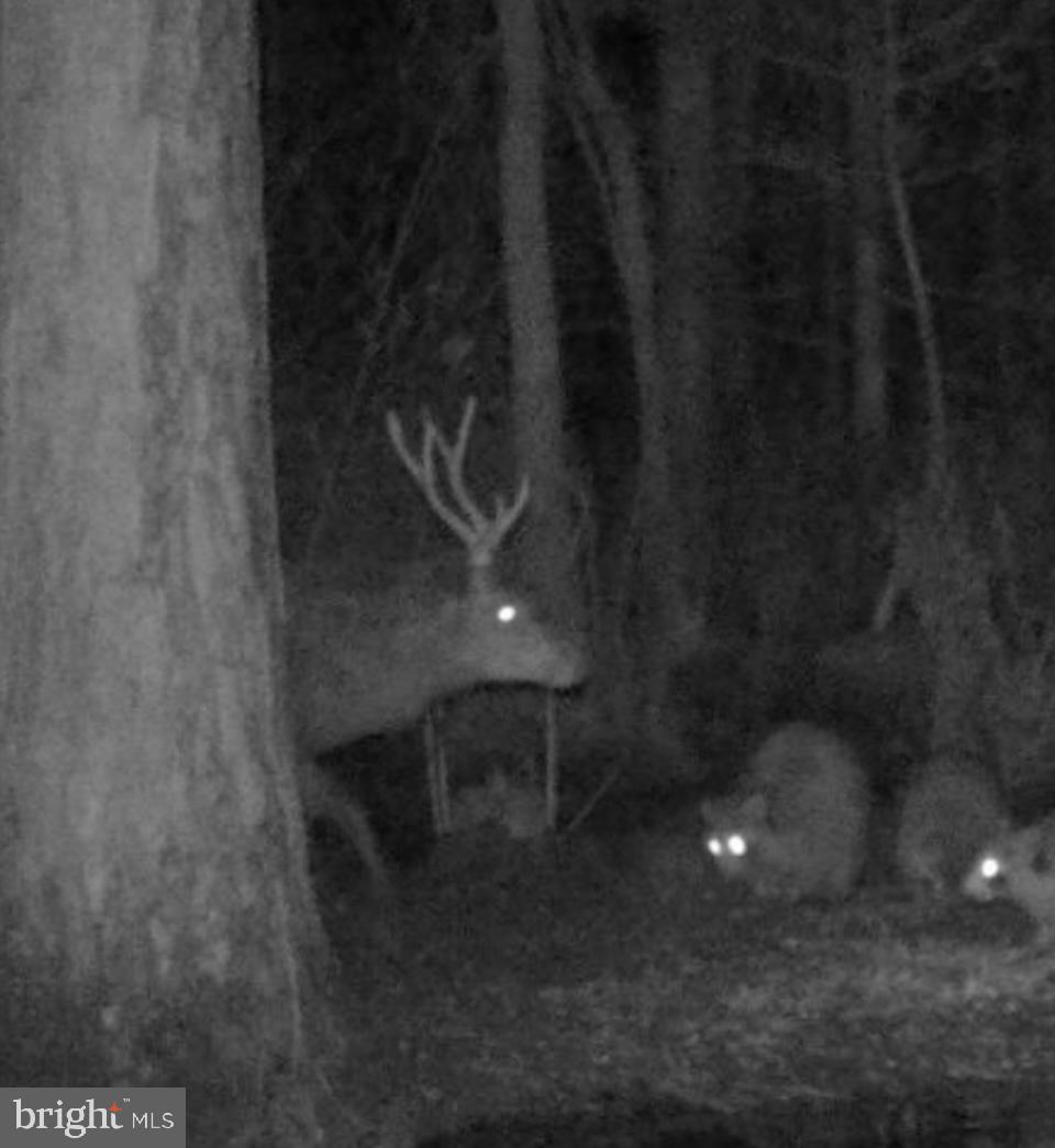 0 Calloway Wharf Road Rhodesdale, MD 21659 - Photo 26 of 29 a close up of a sink