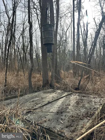 $84,900 | 0 Calloway Wharf Road, Rhodesdale, MD 21659