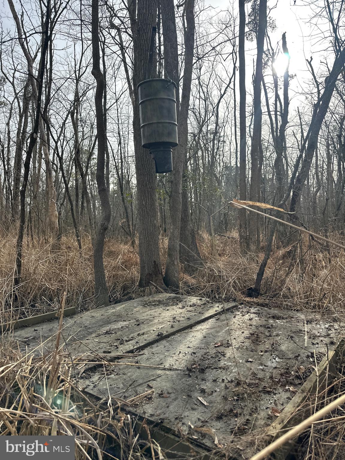 0 Calloway Wharf Road Rhodesdale, MD 21659 - Photo 27 of 29 a backyard of a house with lots of green space