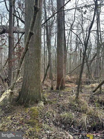 $84,900 | 0 Calloway Wharf Road, Rhodesdale, MD 21659