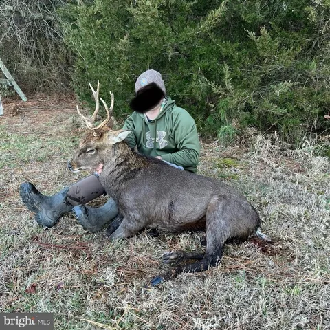 $84,900 | 0 Calloway Wharf Road, Rhodesdale, MD 21659