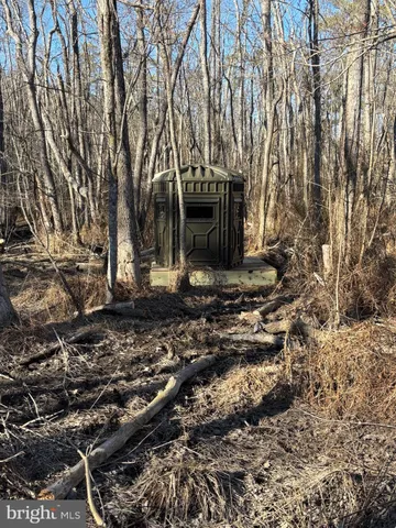 $84,900 | 0 Calloway Wharf Road, Rhodesdale, MD 21659