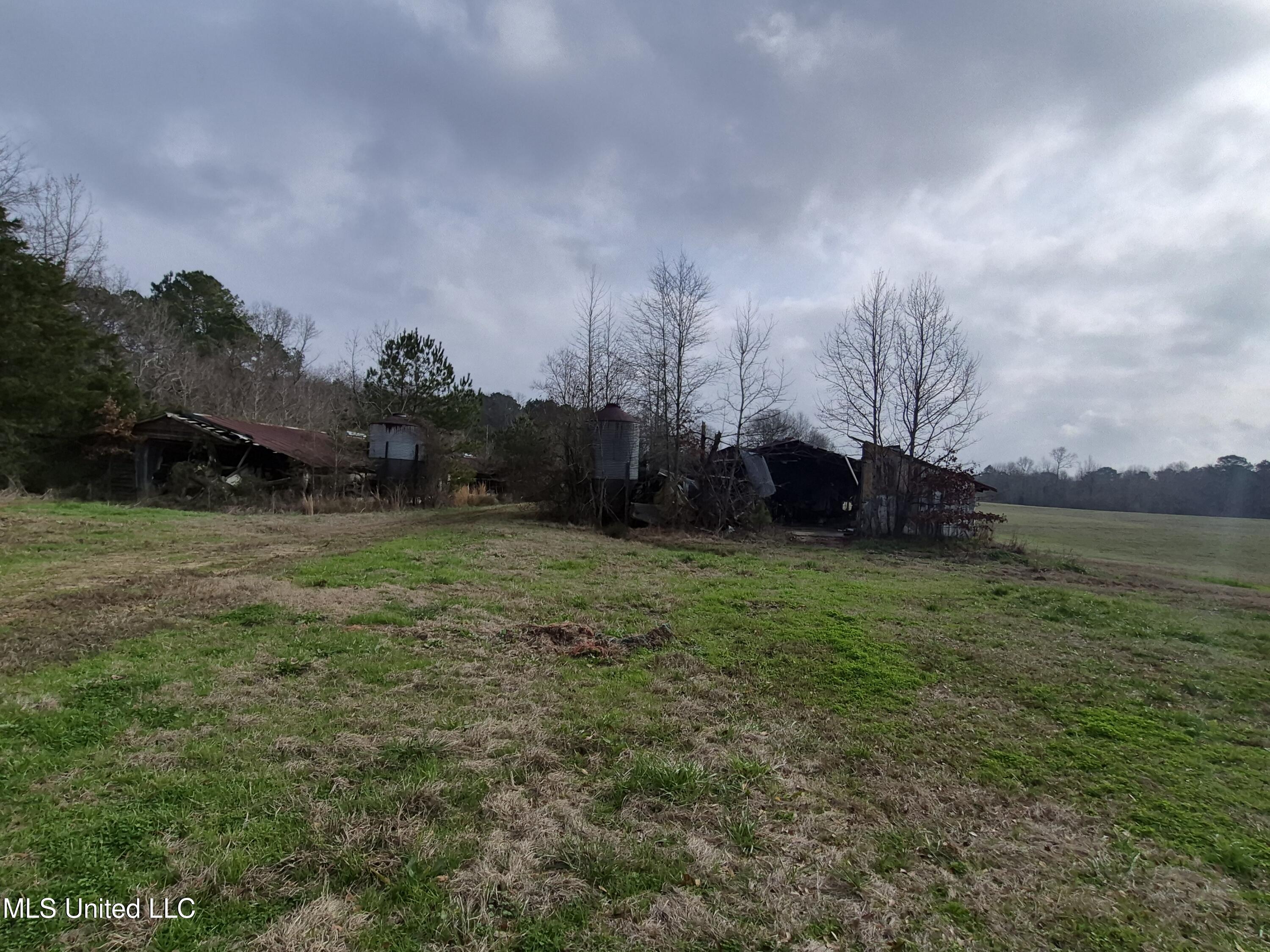 Pine Grove Road Walnut Grove, MS 39189 - Photo 5 of 9 7707