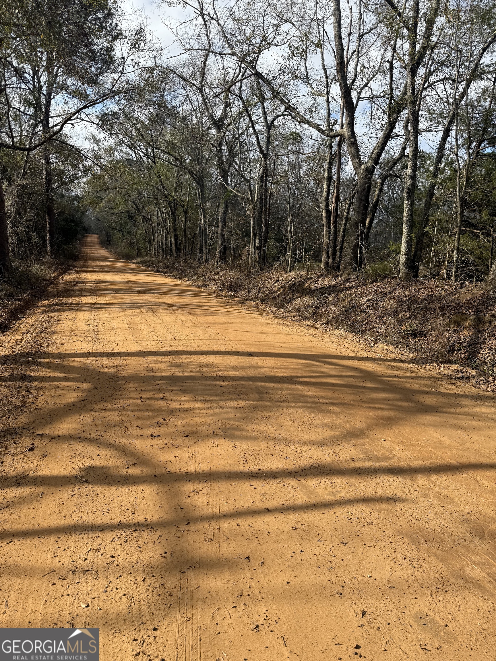 0 George Moore Road Statesboro, GA 30461 - Photo 2 of 4 a view of a house with a trees in the background