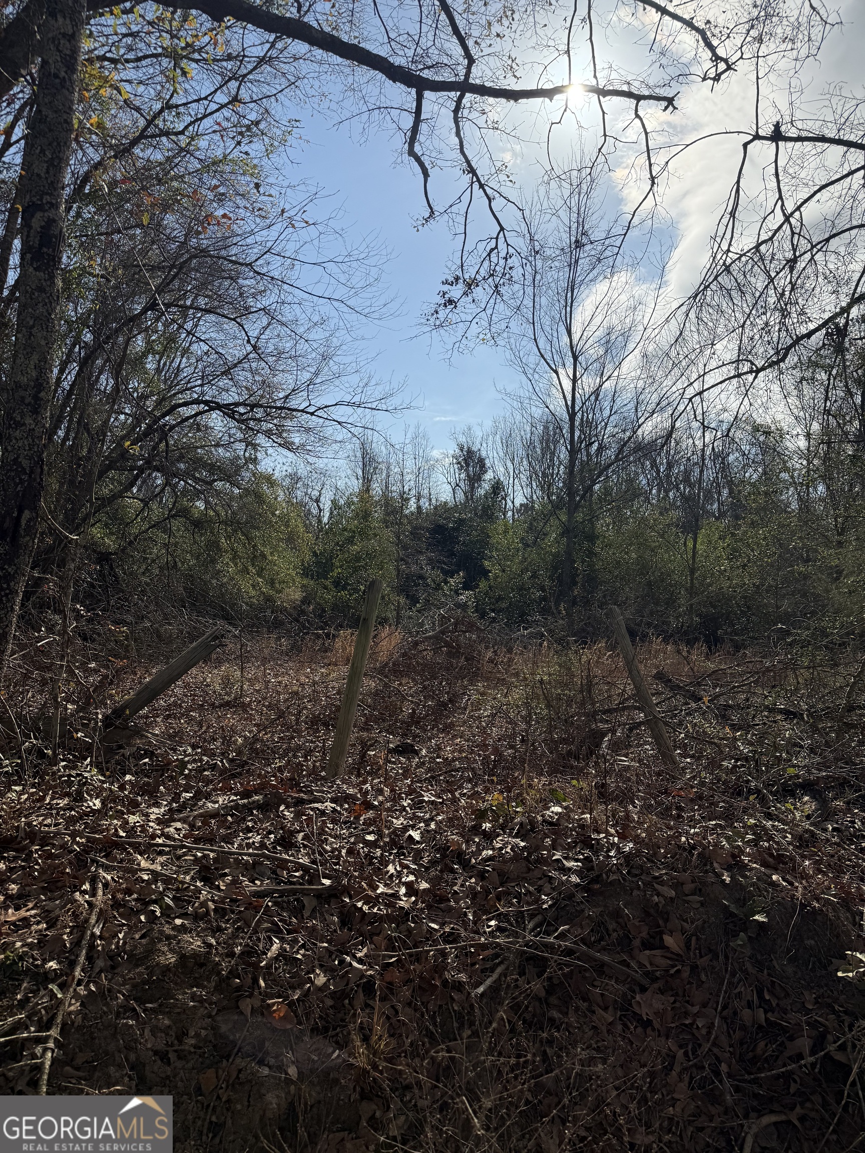 0 George Moore Road Statesboro, GA 30461 - Photo 3 of 4 a view of a yard with a tree