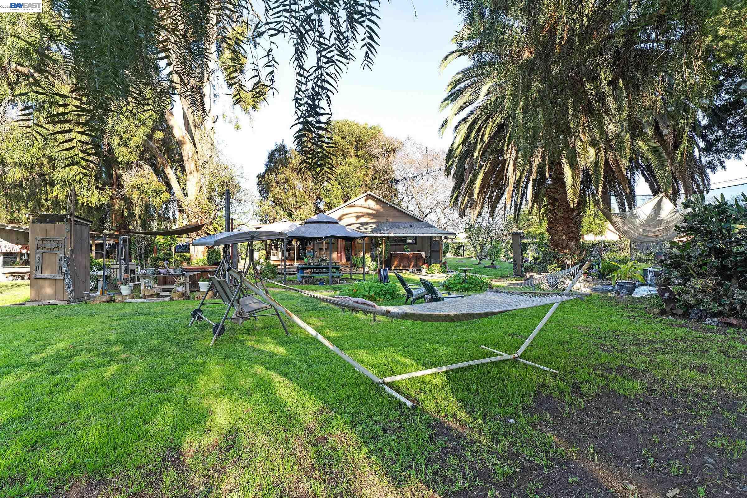 1177 Thiel Road Hayward, CA 94544 - Photo 47 of 55 a view of a house with a big yard potted plants and large trees