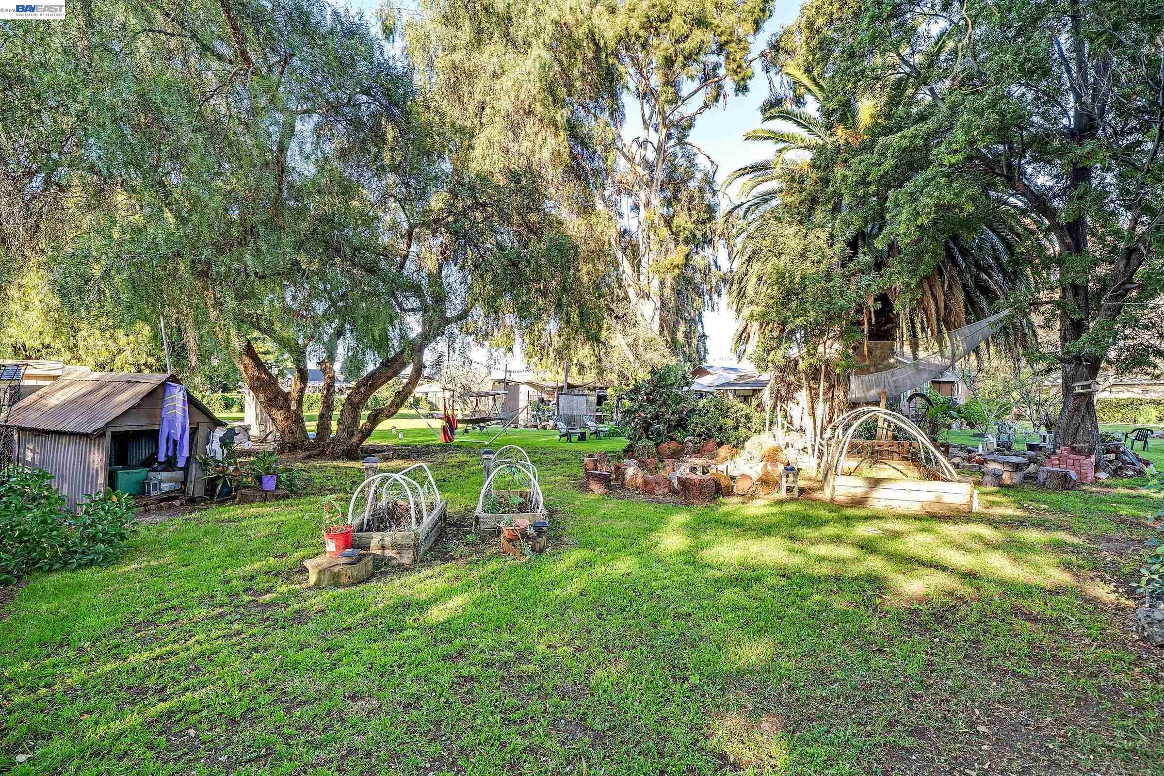 1177 Thiel Road Hayward, CA 94544 - Photo 49 of 55 a view of backyard with table and chairs and large trees