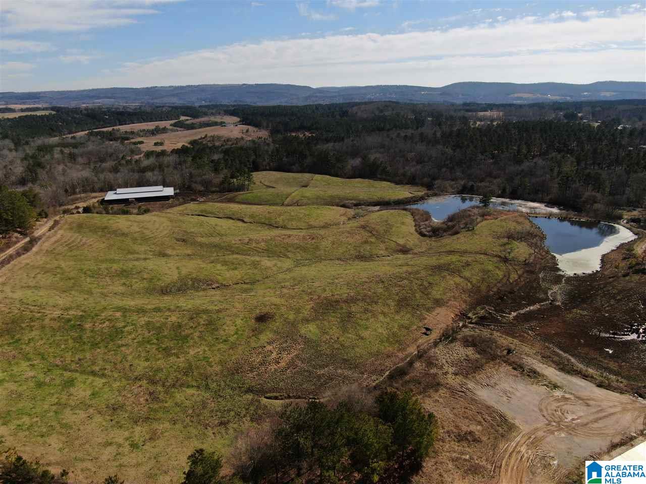 79 Highway 79 Cleveland, AL 35049 - Photo 5 of 36