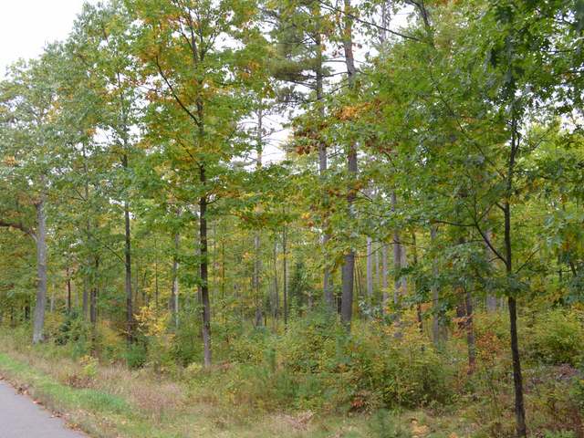 At Koth Road Tomahawk, WI 54487 - Photo 15 of 20 Gallery Image 15