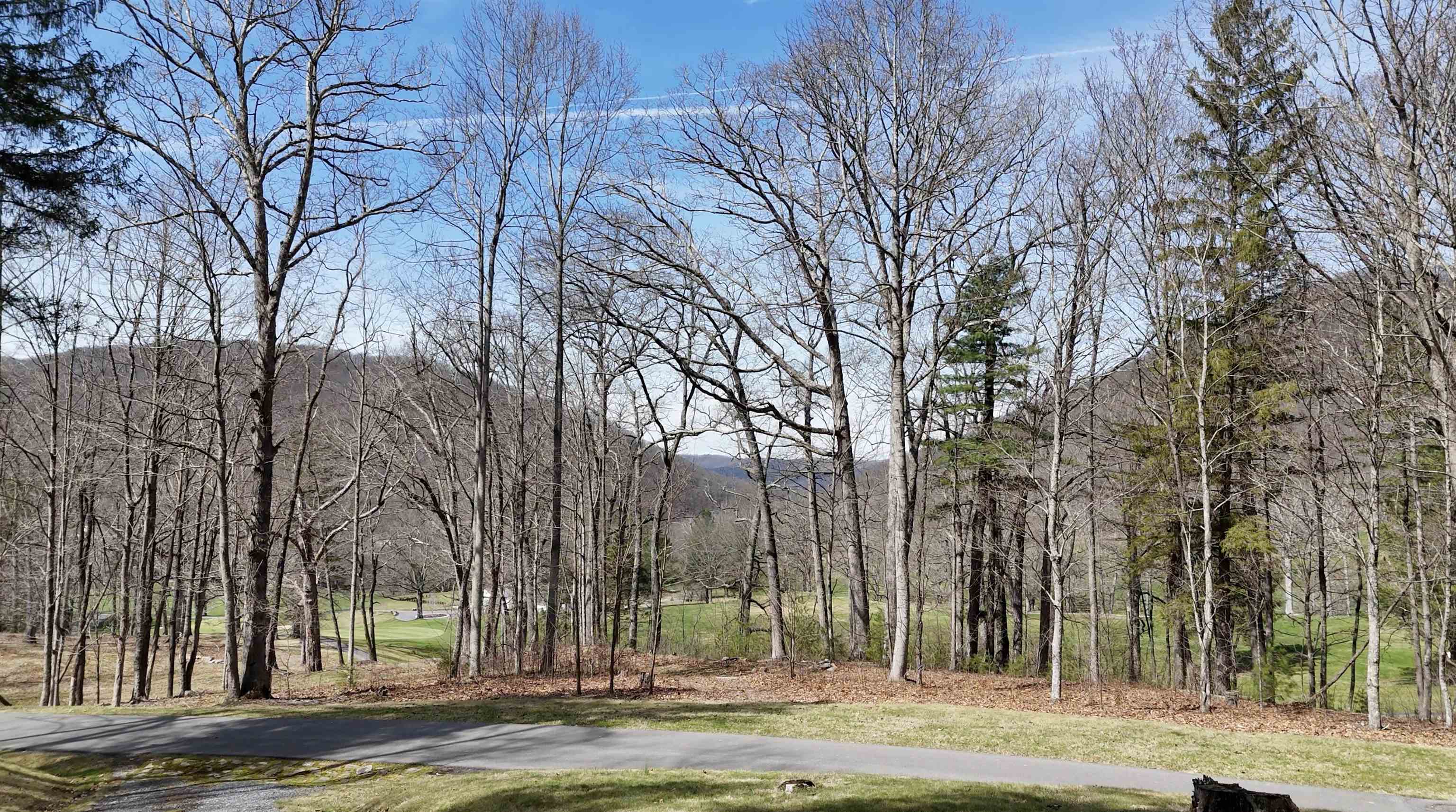 61-62 Old Course Trail Hot Springs, VA 24445 - Photo 1 of 3 a view of a city view