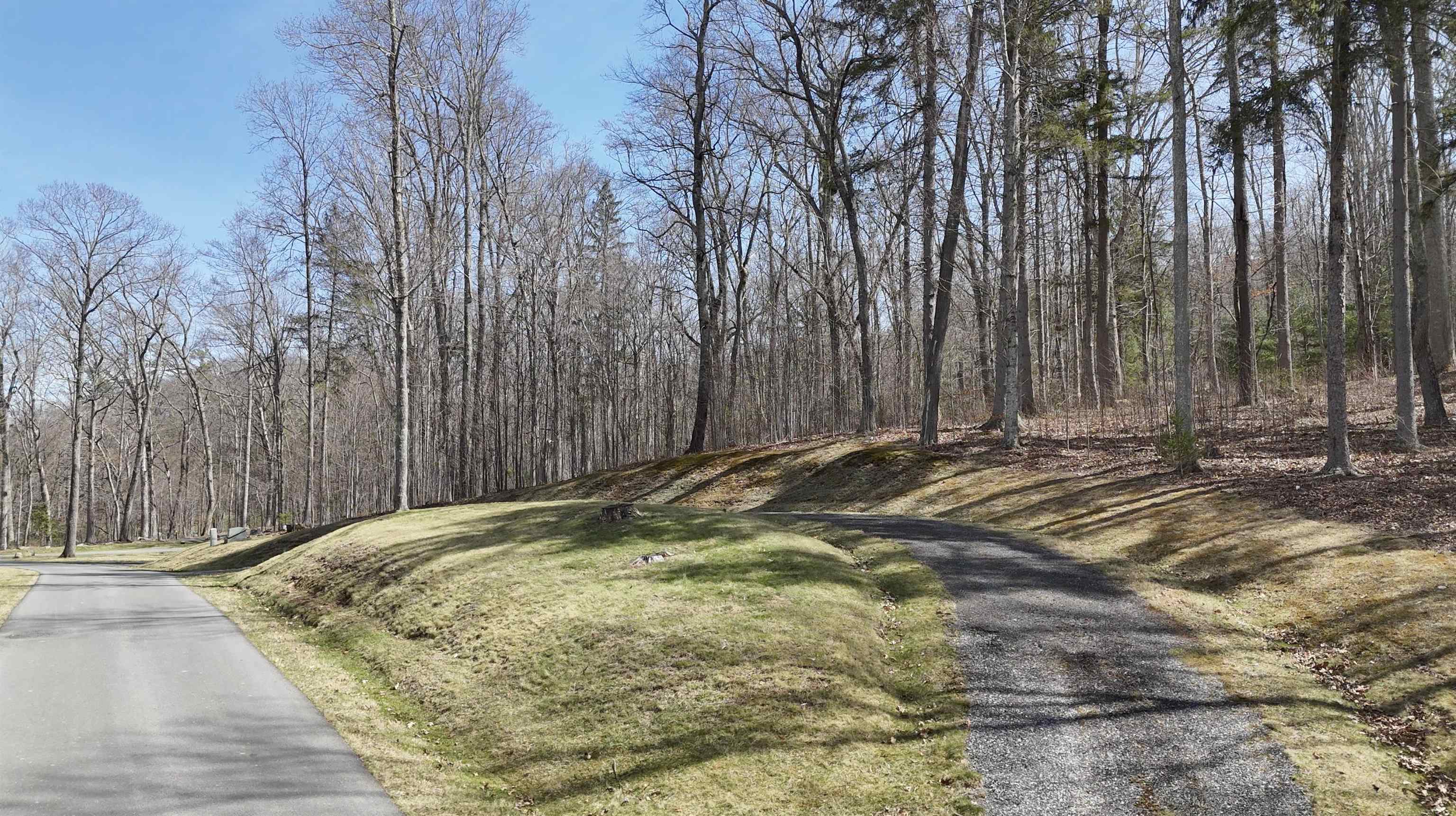 61-62 Old Course Trail Hot Springs, VA 24445 - Photo 2 of 3