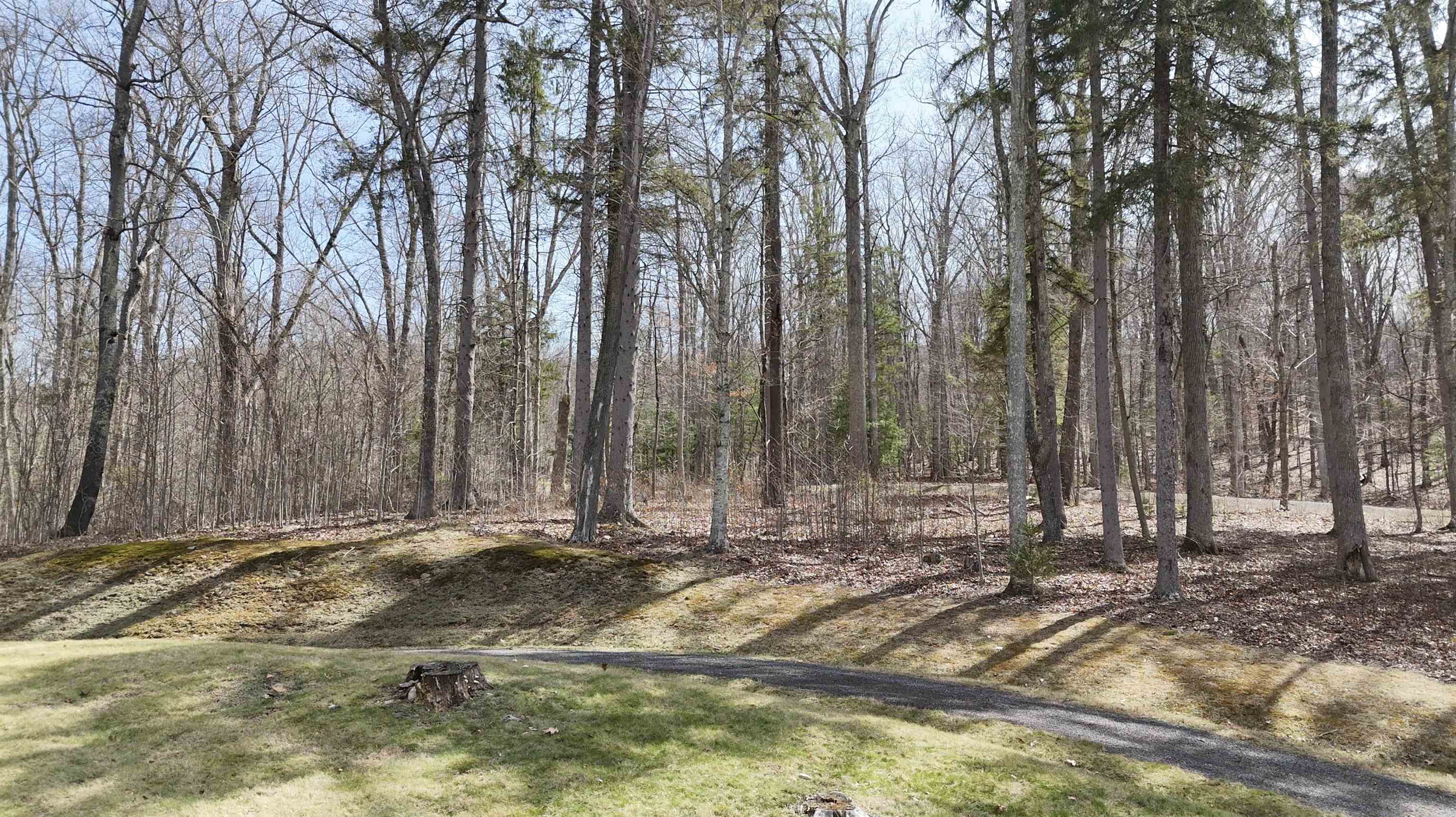 61-62 Old Course Trail Hot Springs, VA 24445 - Photo 3 of 3 a view of wooden fence and trees