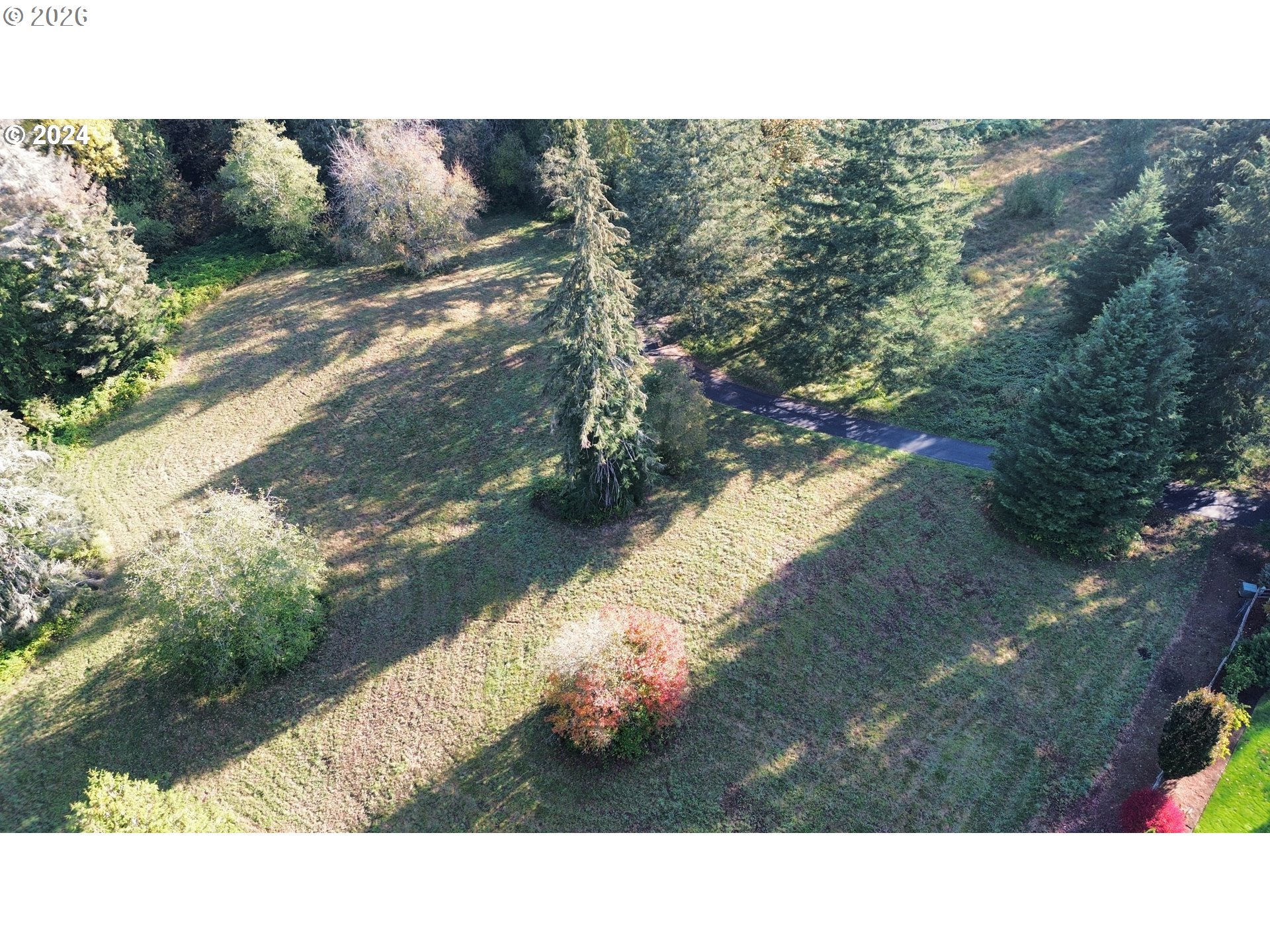 0 Northeast Brown Road, Unit 1 Washougal, WA 98671 - Photo 11 of 15 a view of a yard