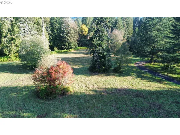 a view of outdoor space and yard